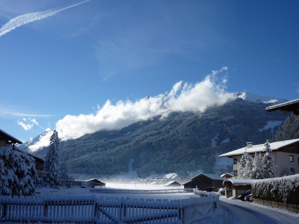 Haus Bellis Apartment Neustift im Stubaital Luaran gambar